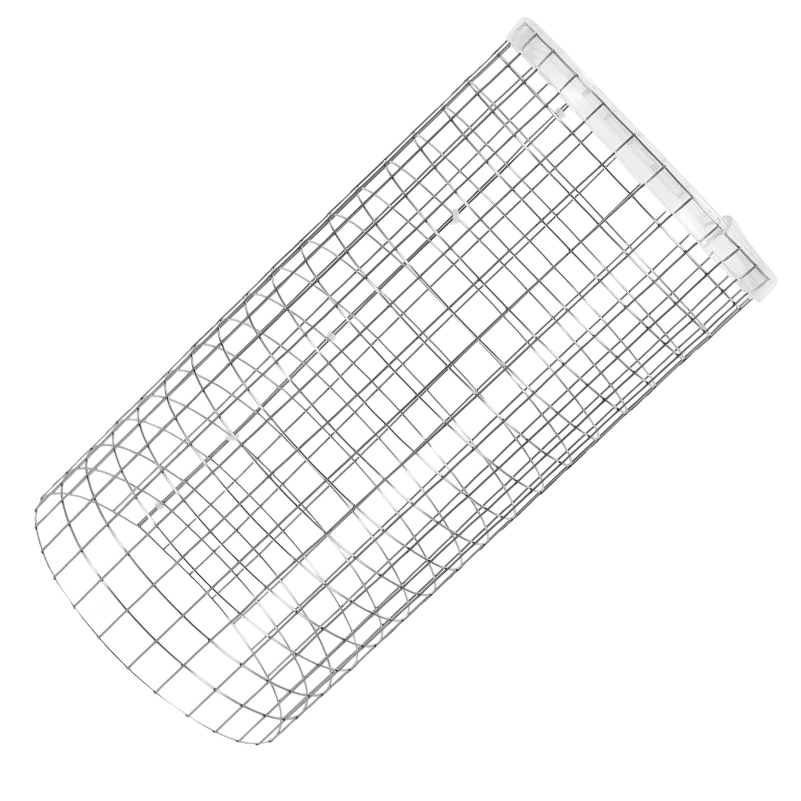 Aquarium Fish Discus - Angelfish Spawning Cone Grid Iron Fish
