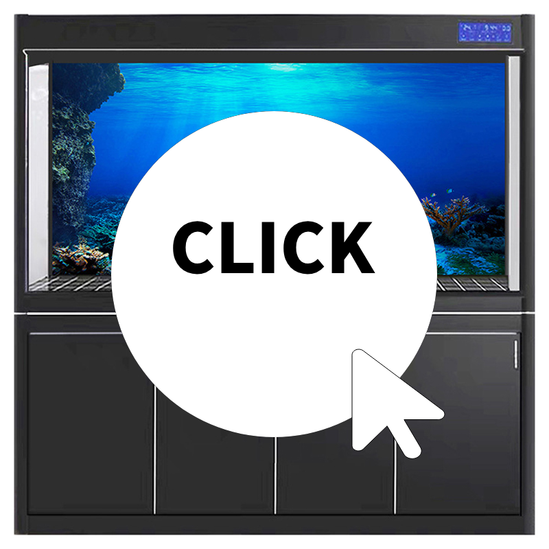 Aquarium Fish World - Fish Tank Background Decorative Painting Plants