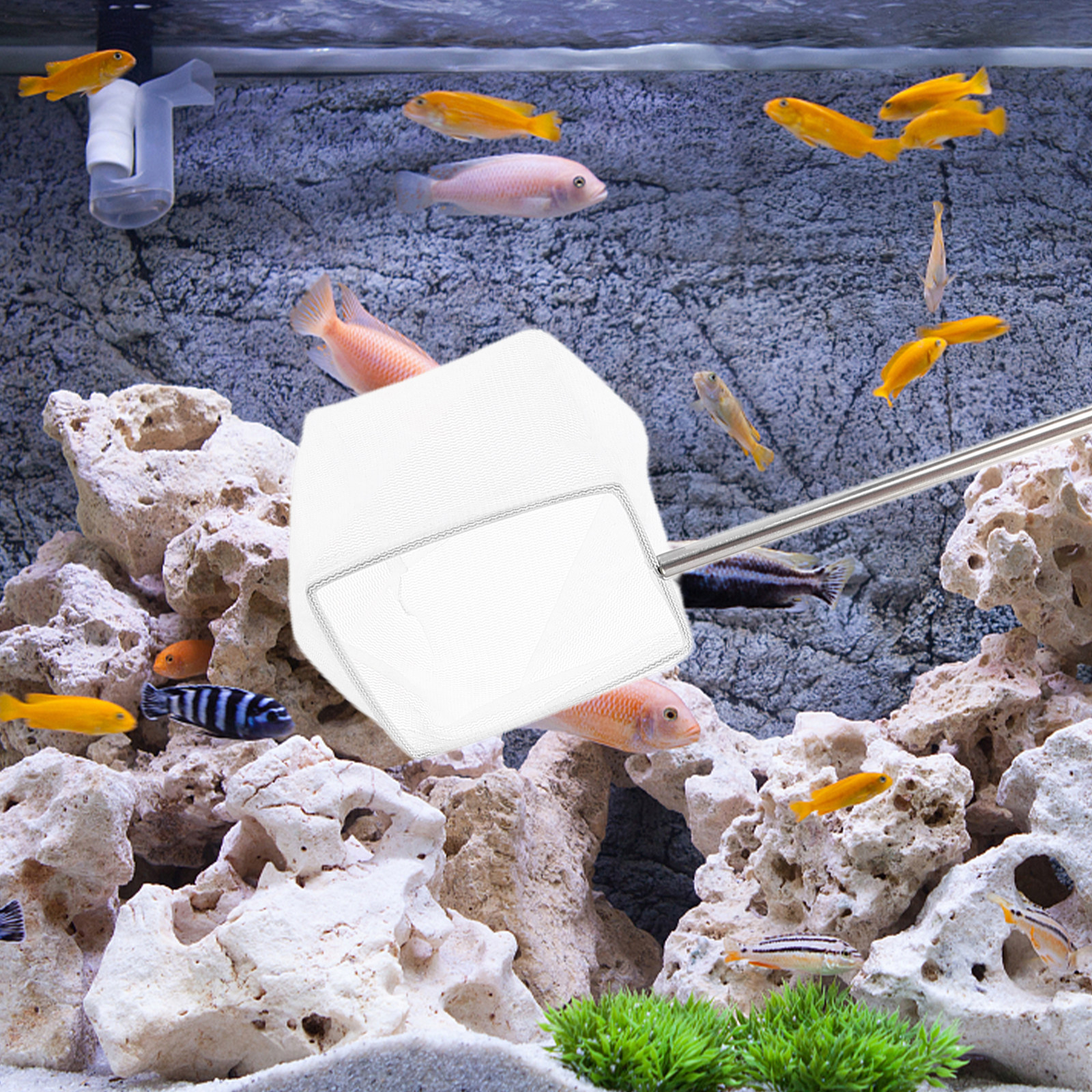 Aquarium Fish Net Small - Telescopic Small Shrimp Net Extendable Handle