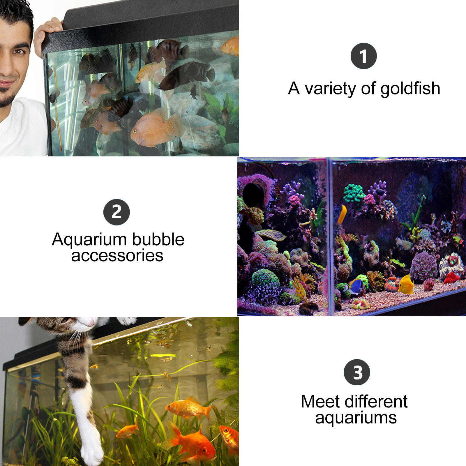1Pcs Air Bubble Stone Aquarium - đánh giá và giá Aquarium Fish Discus