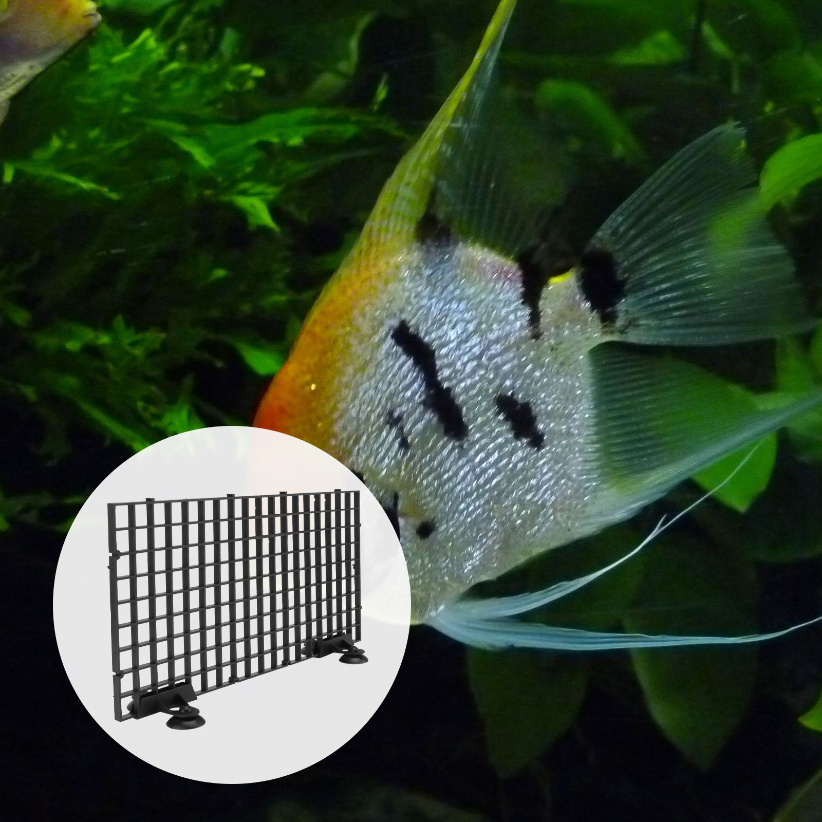 Fish Breeder Net Segregation B - đánh giá và giá Aquarium Fish Rate