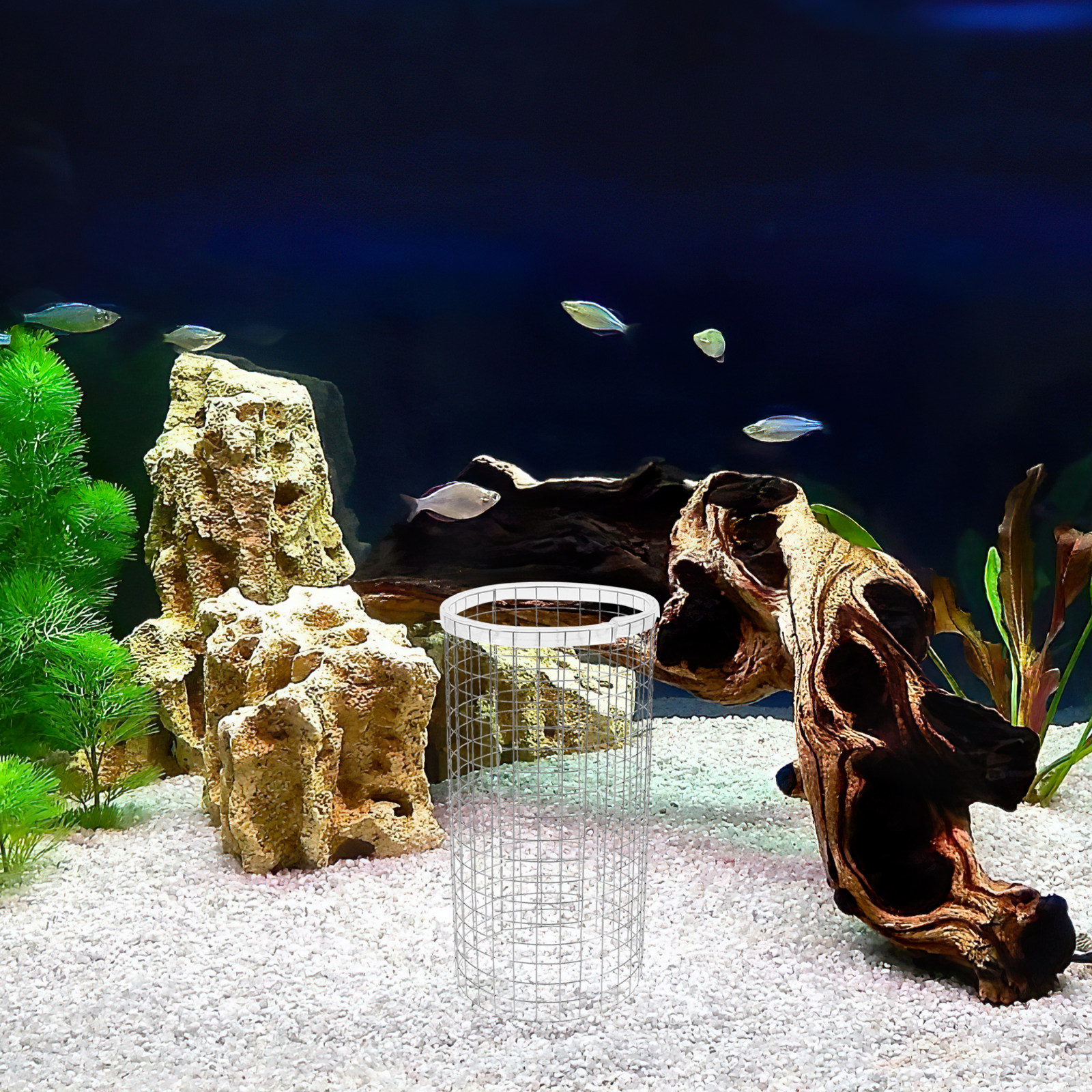 Angelfish Spawning Cone Grid I - đánh giá và giá Aquarium Fish Discus