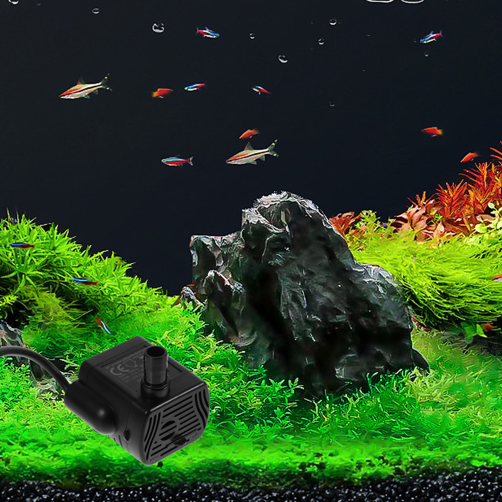 Mini Submersible Water Pump Lo - đánh giá và giá Aquarium Fish Rate