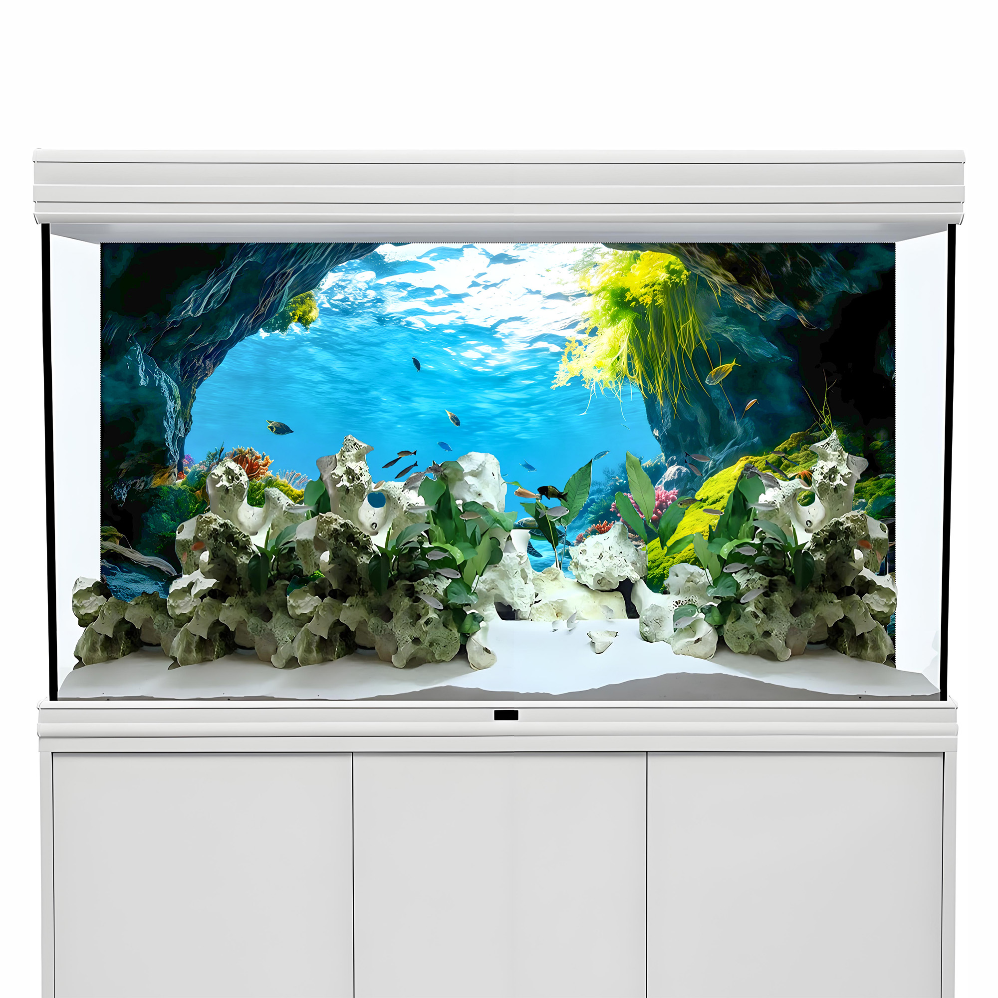 Turtle Cave Paradise，Fish tank - đánh giá và giá Aquarium Fish Paradise