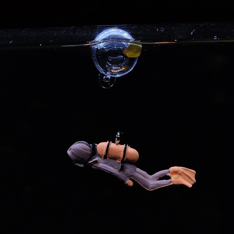 New Resin Floating Diver Aquar - đánh giá và giá Aquarium Fish World