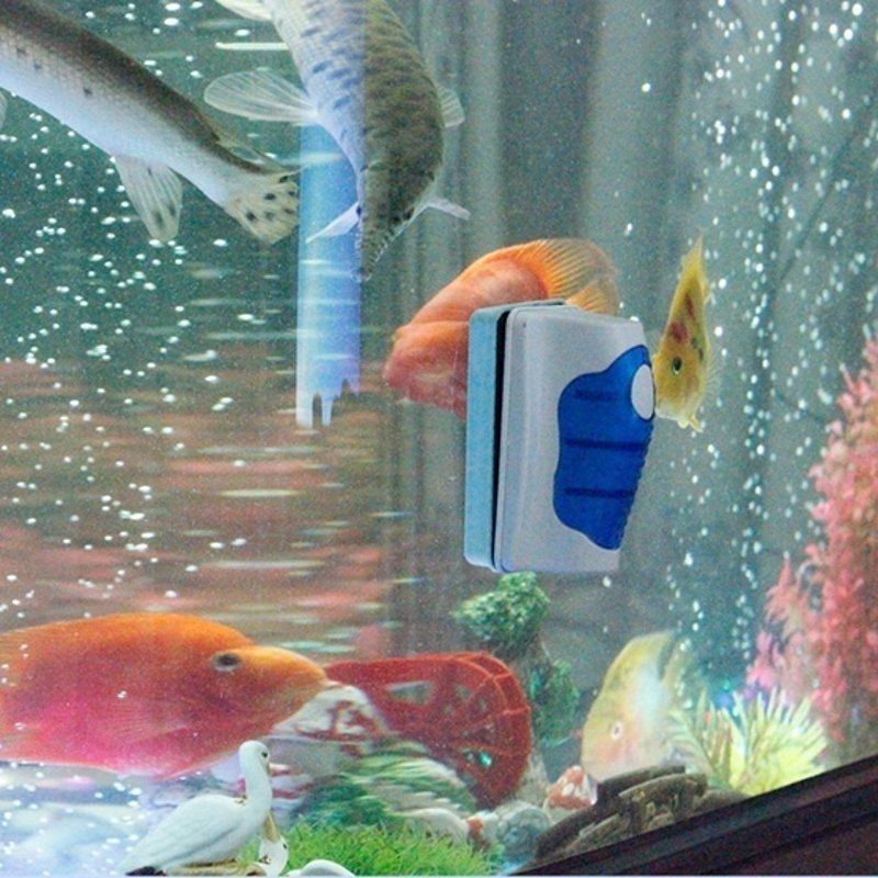Fish Tank Glass Scraper Cleane - đánh giá và giá Gravel Vacuum Cleaner