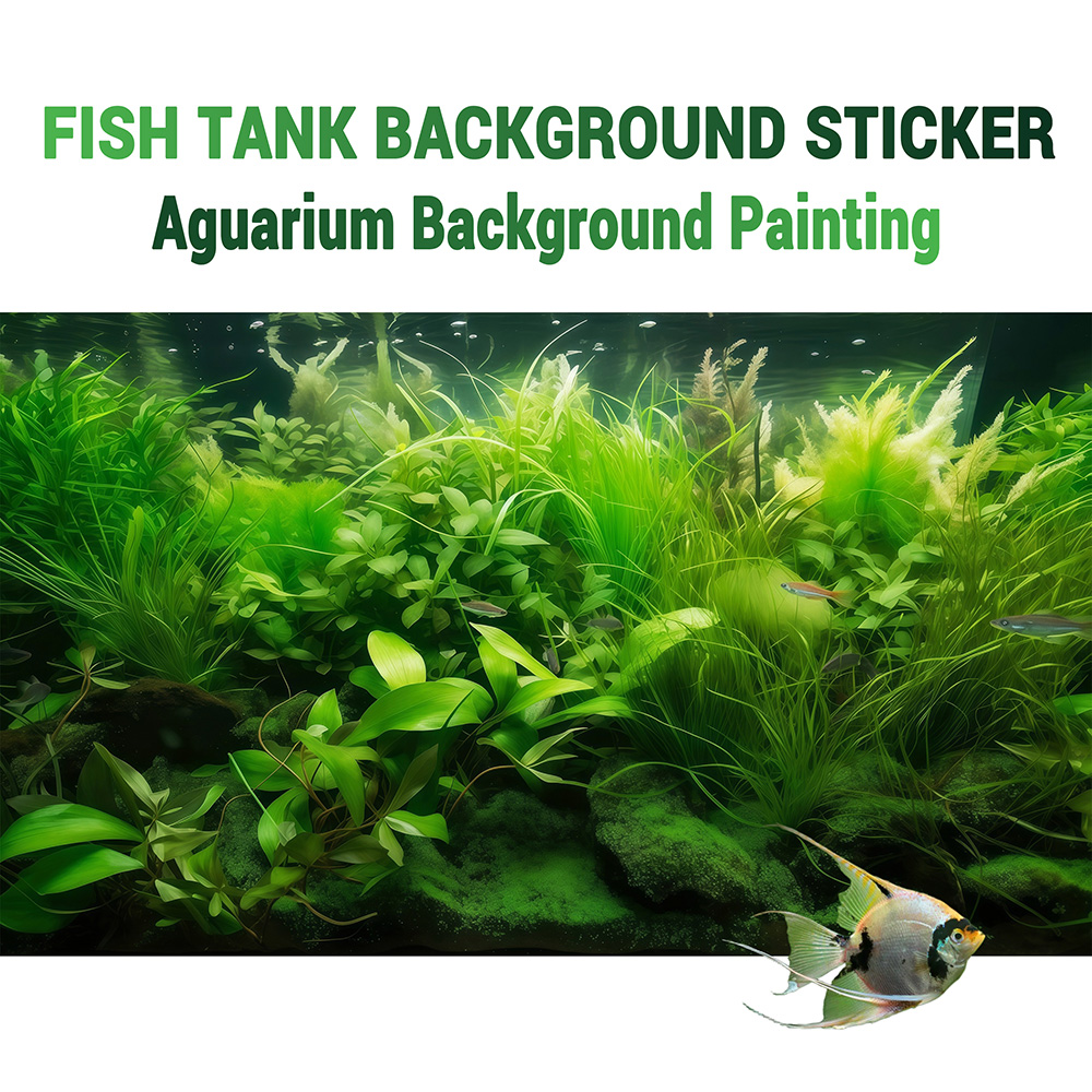 Water Grass Paradise，Fish tank - đánh giá và giá Aquarium Fish Paradise