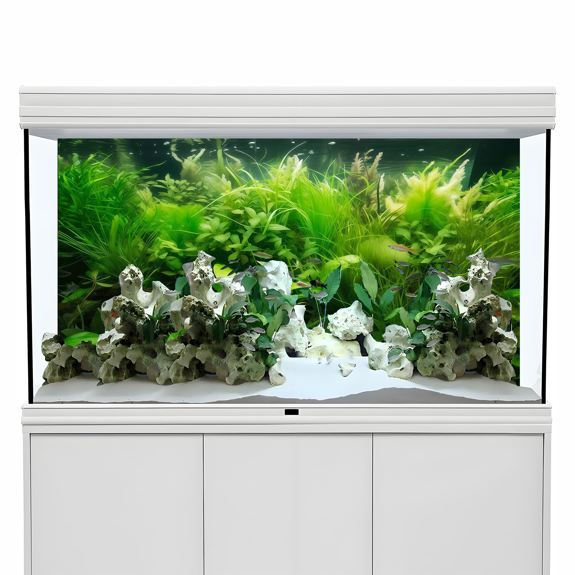 Water Grass Paradise，Fish tank - đánh giá và giá Aquarium Fish Paradise