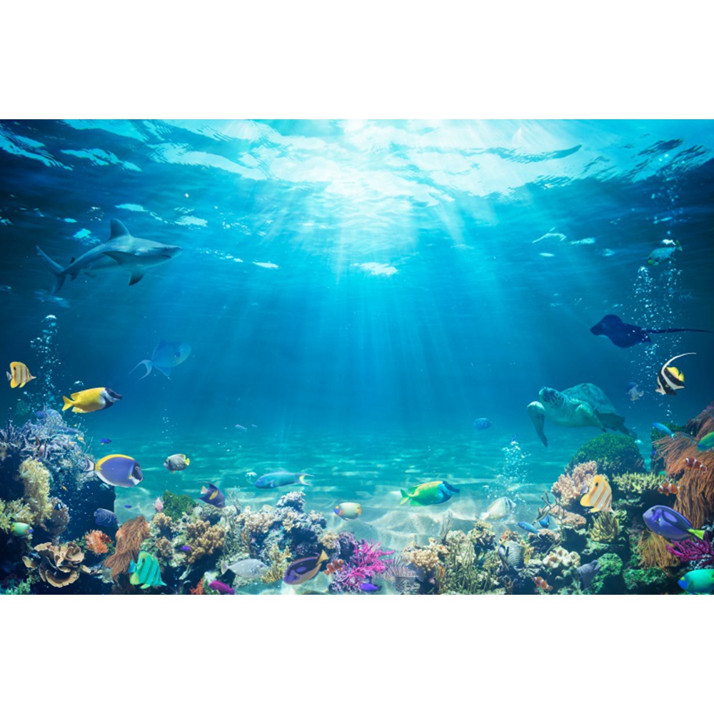 Underwater World Seabed Backdr - đánh giá và giá Aquarium Fish World