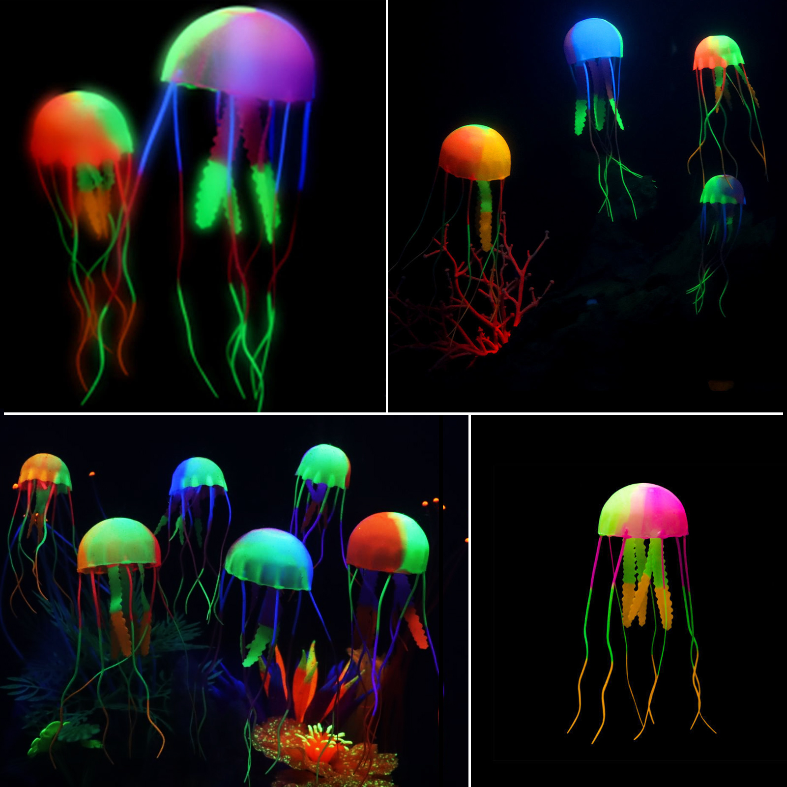 6 Pieces Colorful Jellyfish Se - đánh giá và giá Aquarium Fish Discus