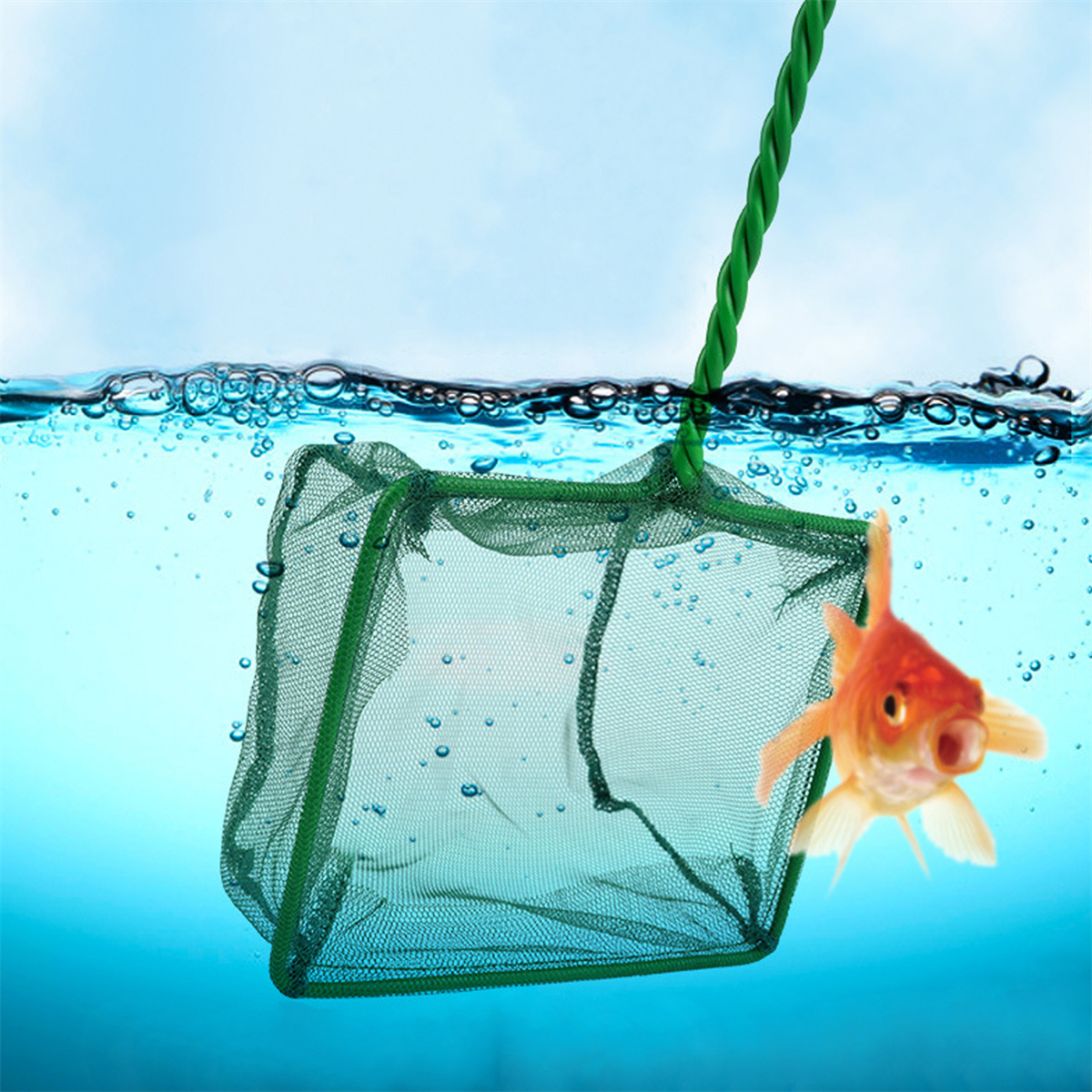 3~10 Inch Portable Nylon Green - đánh giá và giá Aquarium Fish Net Small