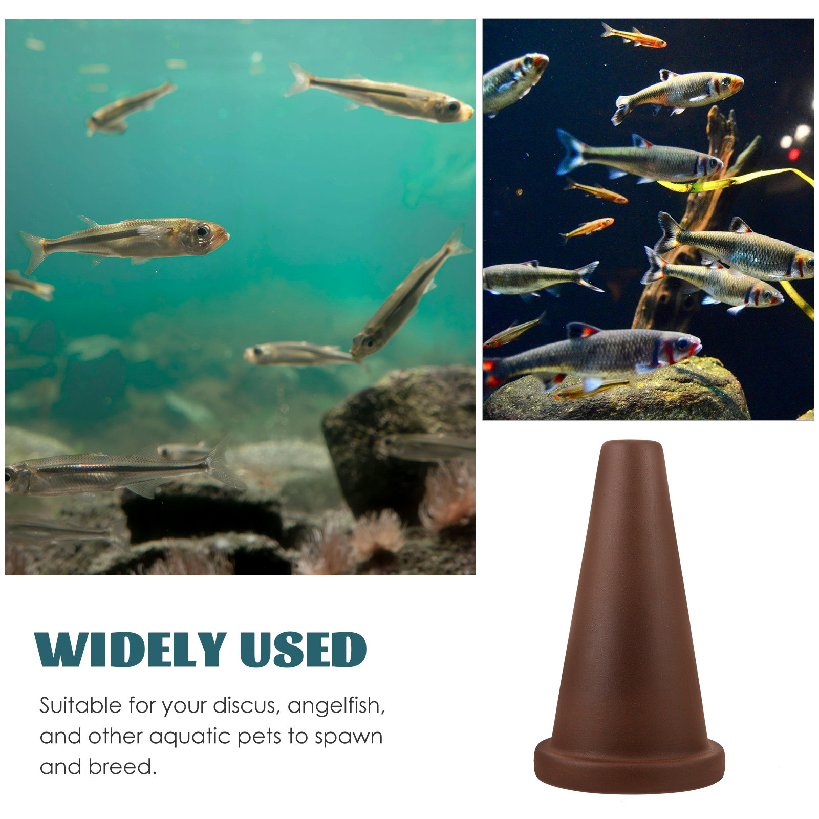 Fish Breeding Cone Cave Purple - đánh giá và giá Aquarium Fish Discus