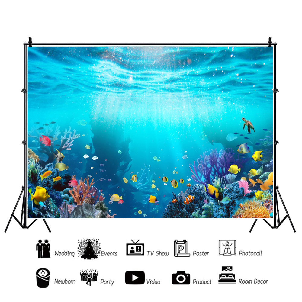 Ocean Underwater World Fish Co - đánh giá và giá Aquarium Fish World