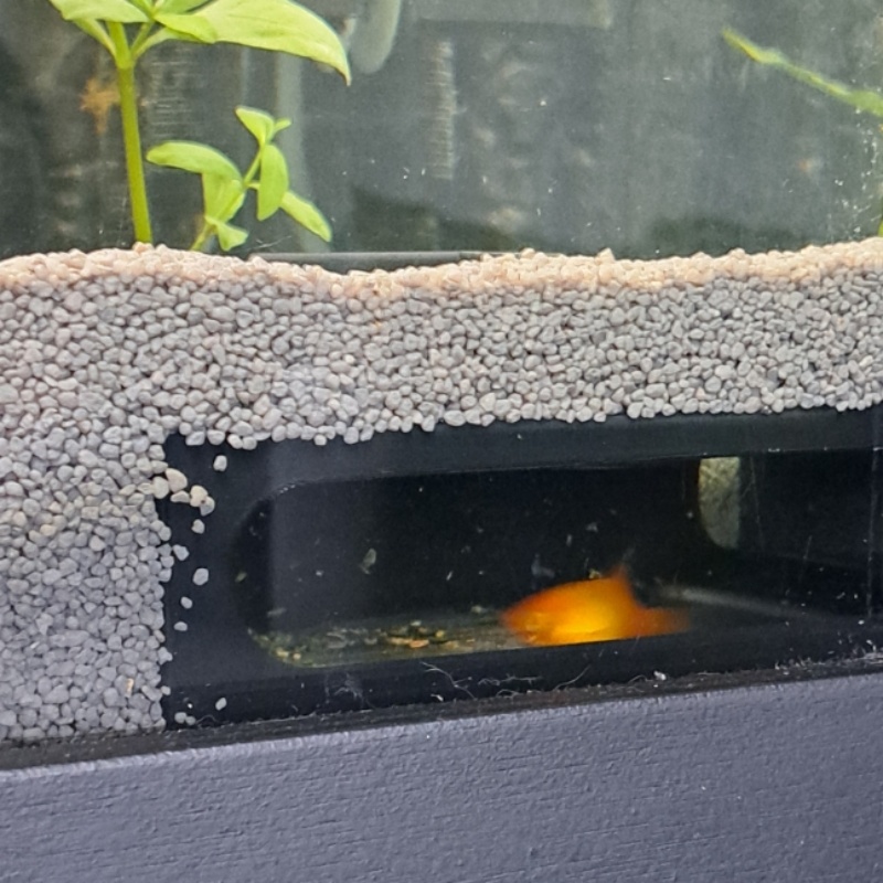Half circle Aquarium Corner Fi - đánh giá và giá Aquarium Fish Paradise
