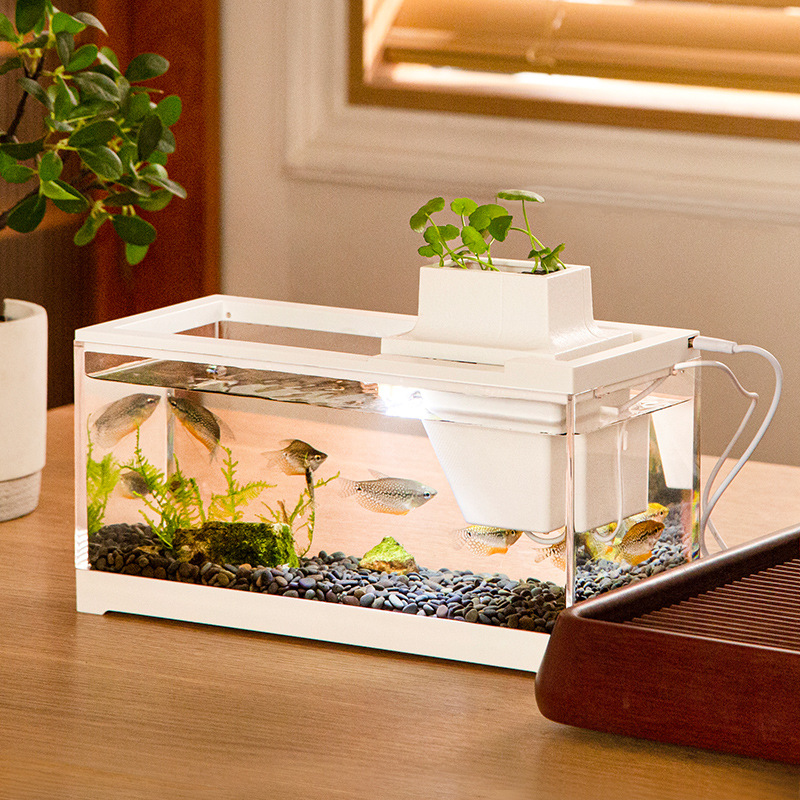 Fish Tank Aquarium Kits with W - đánh giá và giá Aquarium Fish Discus