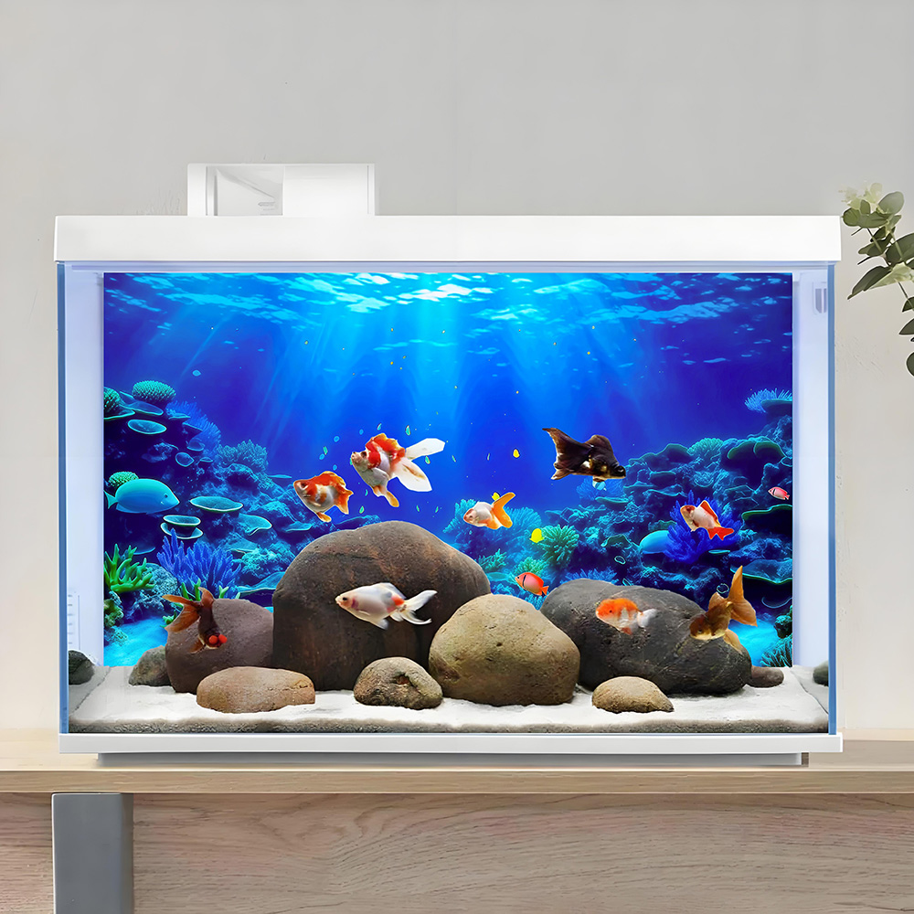 Coral Paradise，Fish tank backg - đánh giá và giá Aquarium Fish Paradise