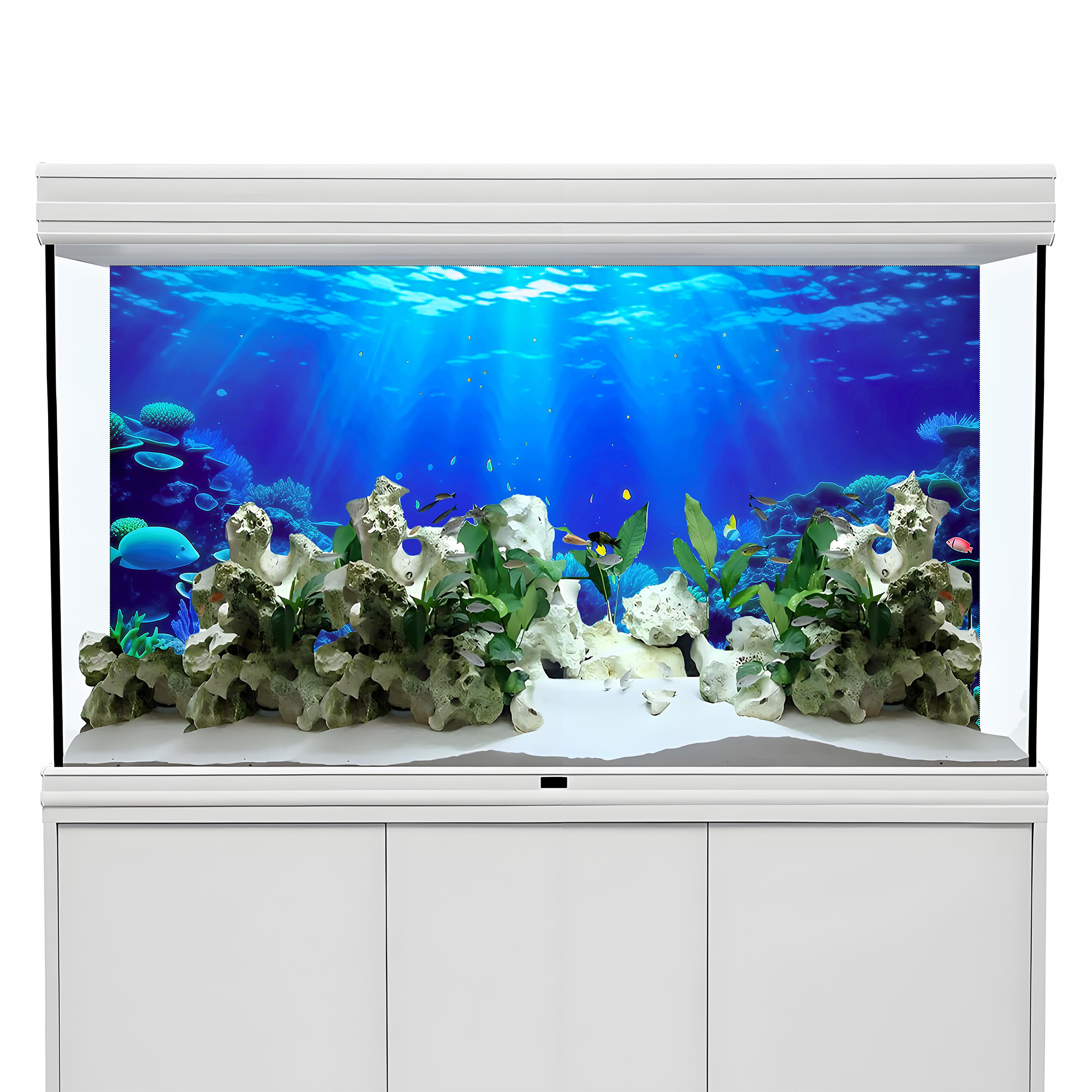 Coral Paradise，Fish tank backg - đánh giá và giá Aquarium Fish Paradise