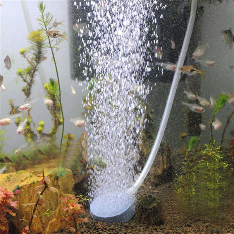 2Pcs Round Air Stone Disc Oxyg - đánh giá và giá Aquarium Fish Discus