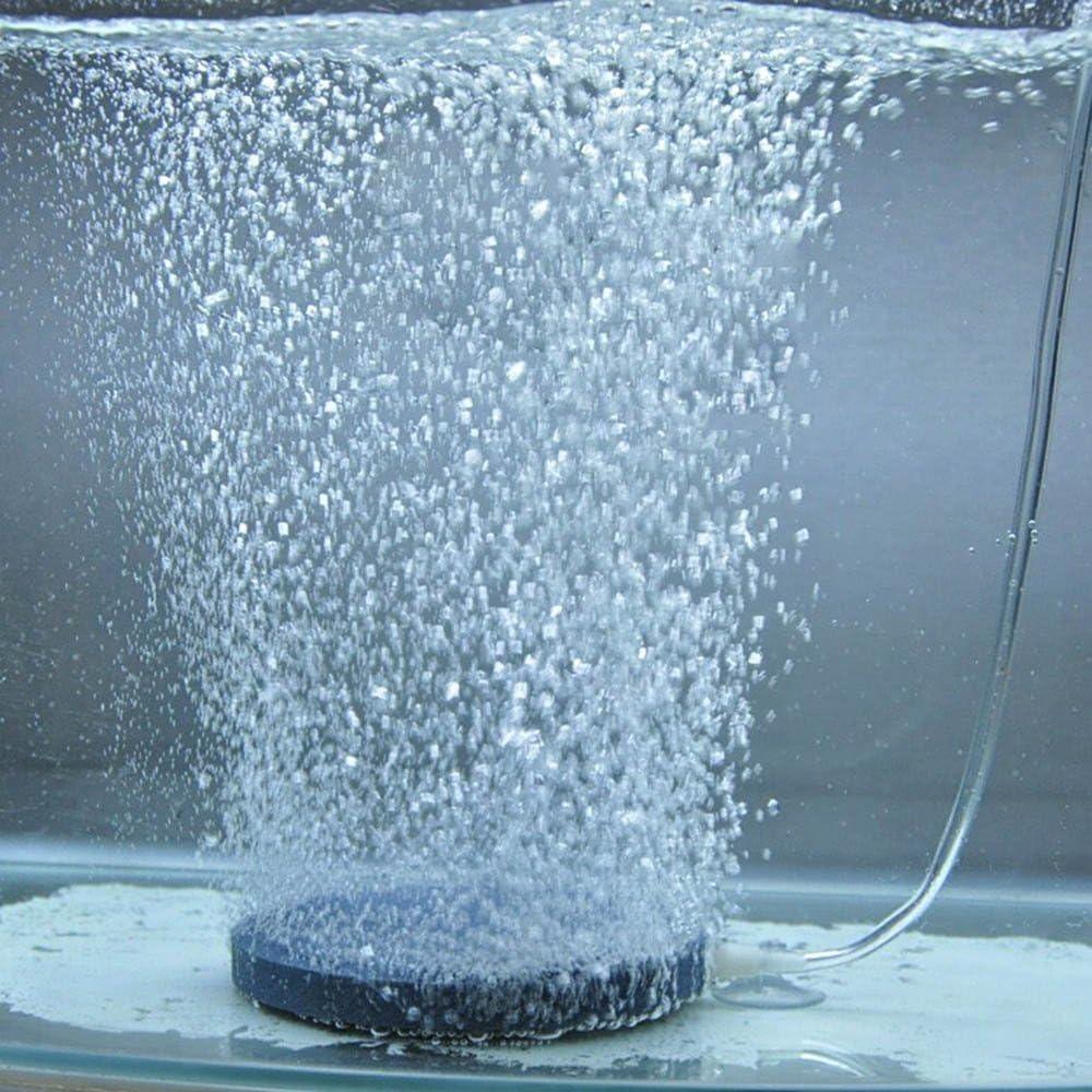 2Pcs Round Air Stone Disc Oxyg - đánh giá và giá Aquarium Fish Discus