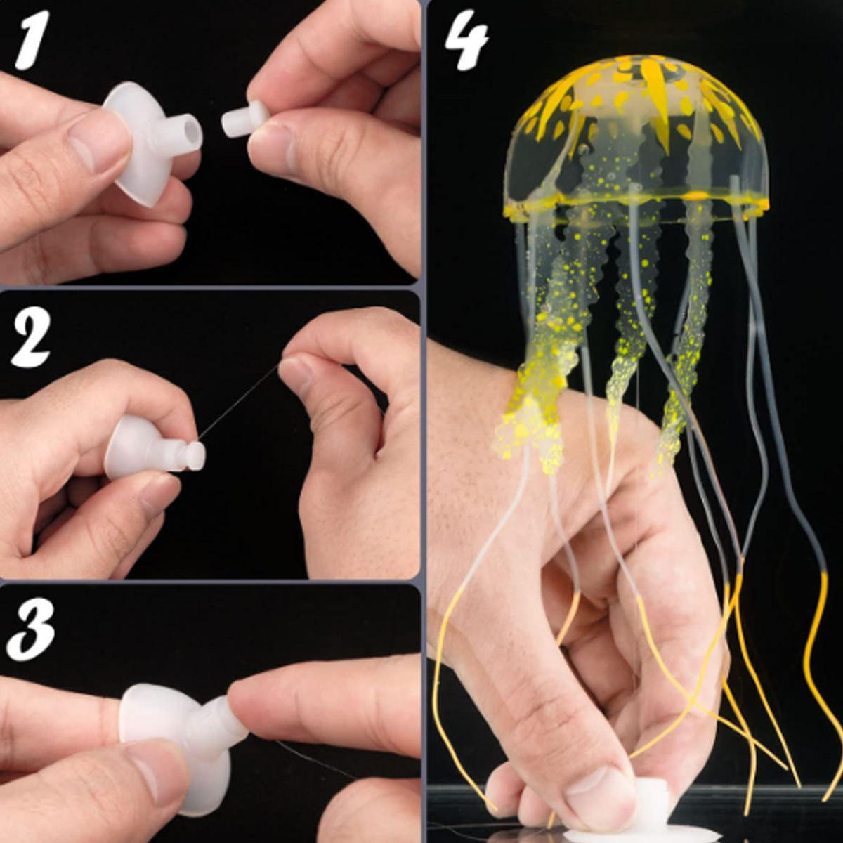 1 Pc Coral Moon Jellyfish Aqua - đánh giá và giá Aquarium Fish Discus