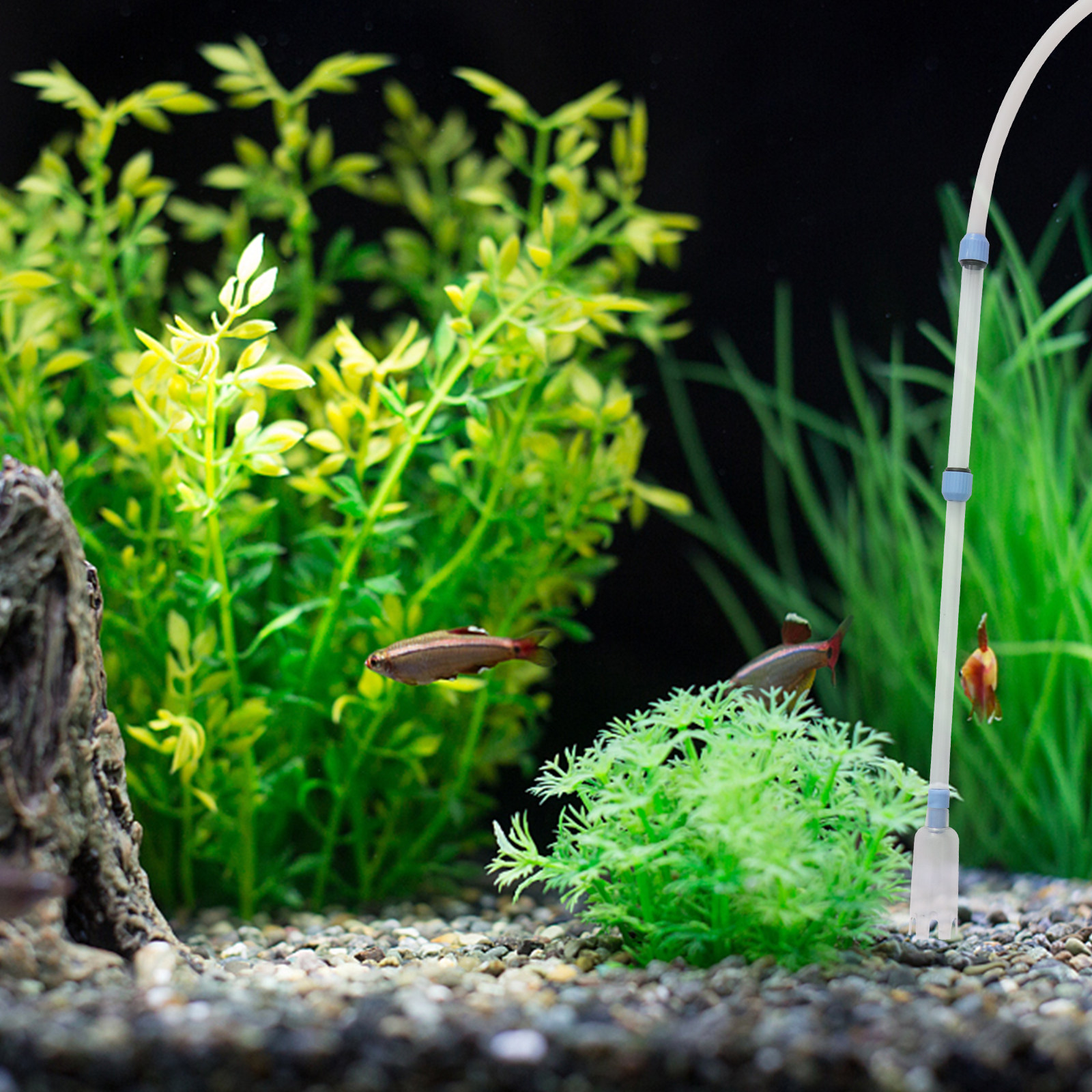 Fish Tank Cleaner Manual Vacuu - đánh giá và giá Gravel Vacuum Cleaner