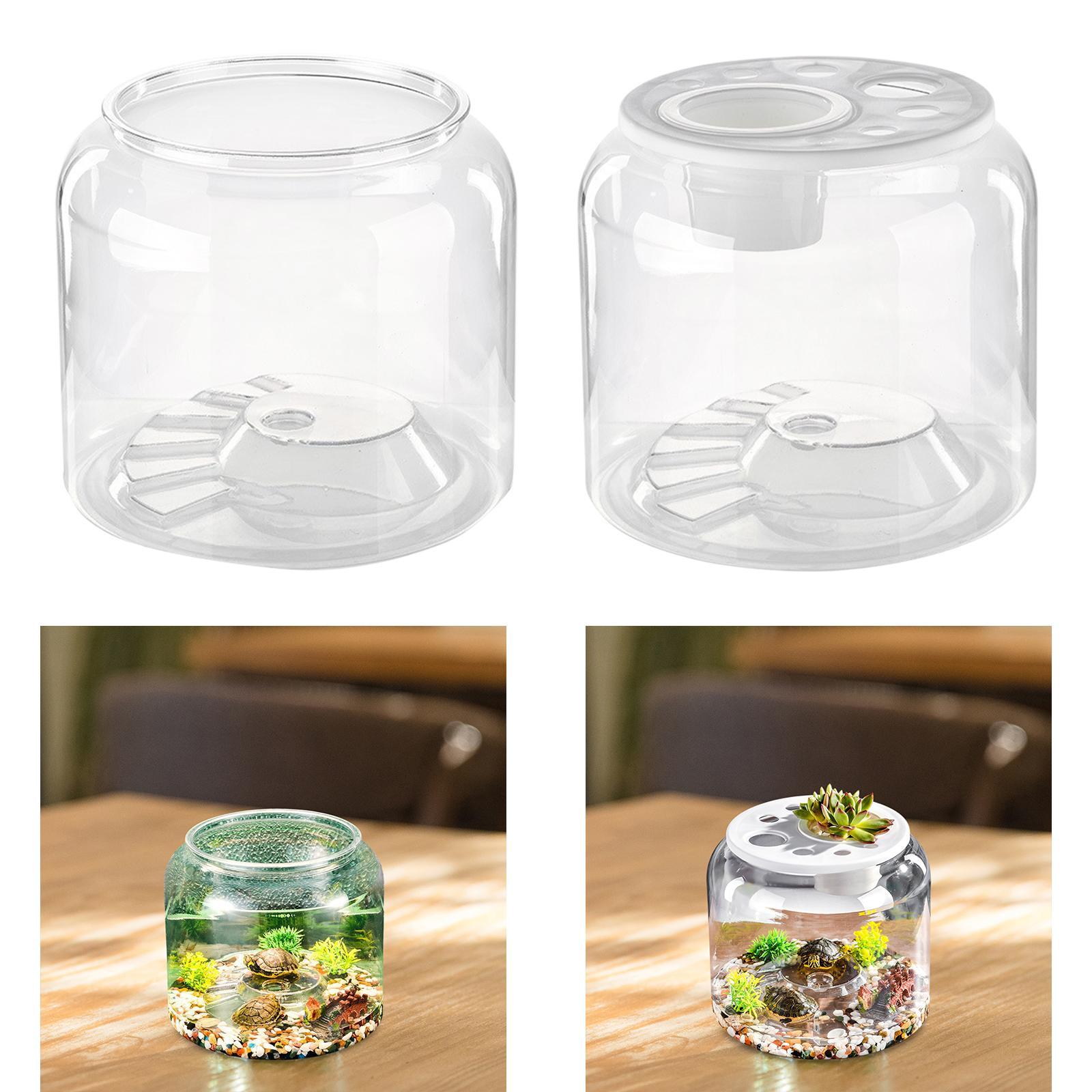 Turtle Container High Capacity - đánh giá và giá Aquarium Fish Drawing